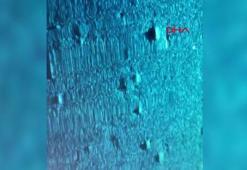 Kayıp iş insanı Halit Yukay'ın cansız bedeni 68 metre derinlikte bulundu