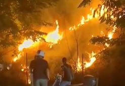 Meşaleli kutlama otluk alanı yaktı