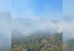 Malatya'da orman yangını 21 saat sonra kontrol altına alındı