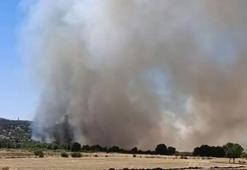 Diyarbakır’da 4 noktada örtü yangını