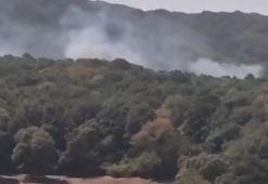 Sarıyer'de ormanda yangın