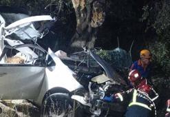 Otomobil zeytinliğe savruldu: 2 ölü, 1 ağır yaralı