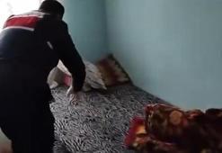 Sinop merkezli 6 ilde suç örgütü operasyonu: 11 tutuklama