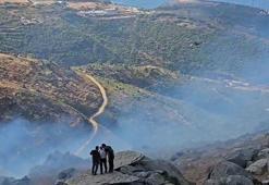 Marmara Adası'ndaki orman yangınına müdahale sürüyor