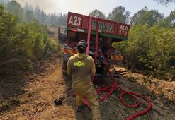 OGM: Yangınların çoğu ihmal ve dikkatsizlikten kaynaklandı