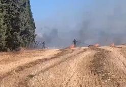 Silivri'de otluk alanda çıkan yangın çam ağaçlarına sıçradı