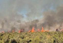 Balıkesir’de orman yangını kontrol altında