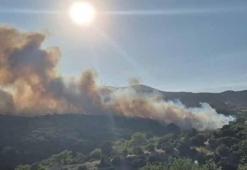 Balıkesir’de orman yangını