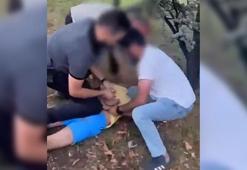 Bakan Yerlikaya: Kur'an-ı Kerim’e hakaret eden ve öz kızına tacizde bulunan şahıs yakalandı