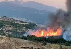 Susurluk'taki orman yangını 12 saat sonra kontrol altına alındı