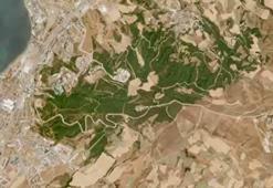 Çanakkale'deki iki büyük yangının zararı uydu fotoğraflarında