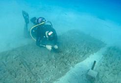 Göcek’te iki bin yaşında deniz çayırı keşfedildi