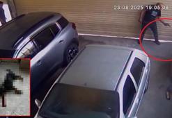 Komşu esnafın köpeğini tabancayla öldürdü; o anlar kamerada