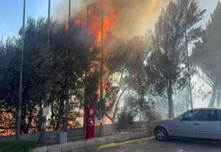 Yol kenarında çıkan yangın akaryakıt istasyonuna ulaşmadan söndürüldü