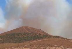 İzmir'de orman yangını