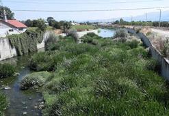 Bolu'da tarım arazilerinin sulanmasında kullanılan derenin bazı bölümleri kurudu