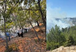 Adana’da orman yangını kontrol altında