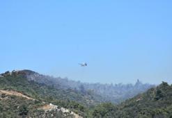 İzmir'de orman yangını