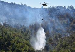 İzmir'de orman yangını kontrol altında