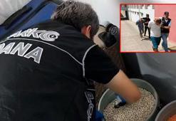 Kilerdeki kuru fasulye kovasından bonzai çıktı