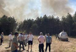 Sakarya'da orman yangını