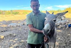 Edirne’de otogarın maskotu ‘Kadife’, sahibine kavuştu