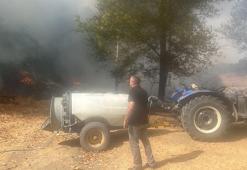 Bursa’da ot yangınında 20 dönüm alan zarar gördü