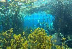 Antalya'nın içme suyu kaynağında çöp alarmı