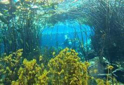 Antalya'nın içme suyu kaynağında çöp alarmı