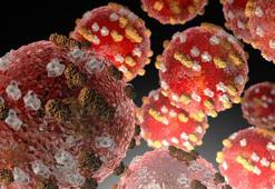 Endonezya'da kızamık salgınında 17 kişi hayatını kaybetti