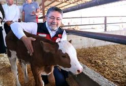 Bakan Yumaklı: 200 bin etçi ırk hayvanı, kendi üreticimizden karşılayacağız