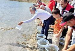 Edirne'de 30 bin yavru sazan gölete bırakıldı