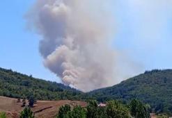 Bursa’da orman yangını