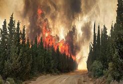 Çanakkale'de bu yıl 118 orman yangını çıktı; 7 bin 39 hektar alan zarar gördü