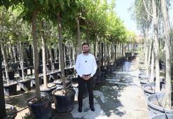 Kağıthane'ye 50 bin ağaç ve 1 milyon metrekare yeşil alan kazandırıldı