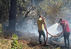 Erdek'te orman yangını 2 saatte kontrol altına alındı