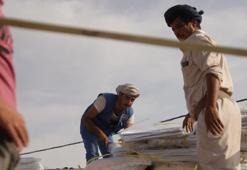 BM: Yemen'deki şiddetli yağış ve kuvvetli fırtınalar 46 bin 500'den fazla kişiyi etkiledi