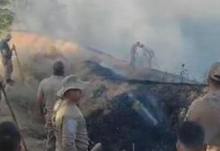 Diyarbakır- Bingöl sınırında orman yangını kontrol altında