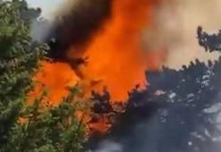 Amasya’da orman yangını