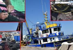 Balıkçıların '1 Eylül' hazırlığı