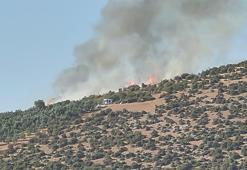 İznik'te maki yangını