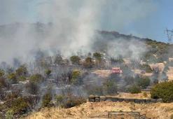 İznik'te maki yangını kontrol altında