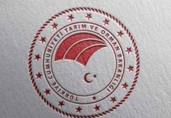 IPARD 3 kapsamında 9'uncu Başvuru Çağrı İlanı yayımlandı