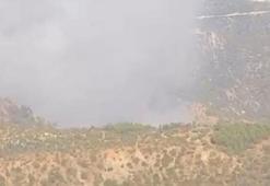 Denizli'deki orman yangını Aydın'a sıçradı