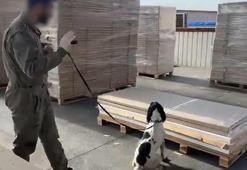 Esrar ve metamfetamine 'gümrük' darbesi