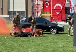 Nevşehir’de 30 Ağustos Zafer Bayramı kutlamaları; JAKEM'in eğitimli köpeklerinin gösterisi ilgi topladı