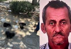 10 köpek ile 5 kedinin öldüğü olayda, şüpheli, etleri çocuklara dağıttırmış