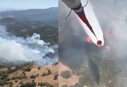 Balıkesir'de orman yangını