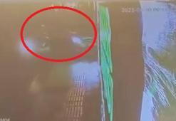 Yalova’da çarpışan 2 otomobil kuruyemiş dükkanına daldı; o anlar kamerada