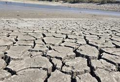 Bursa’daki 42 yıllık Çınarlı Göleti kuruma tehlikesiyle karşı karşıya; balıklar can çekişiyor